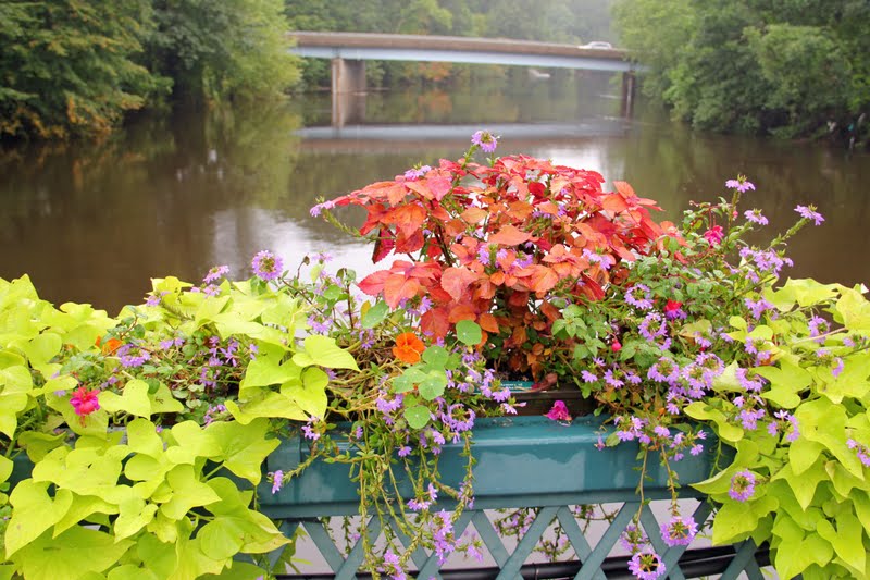 Naples and Hartford in Season Bridge of Flowers