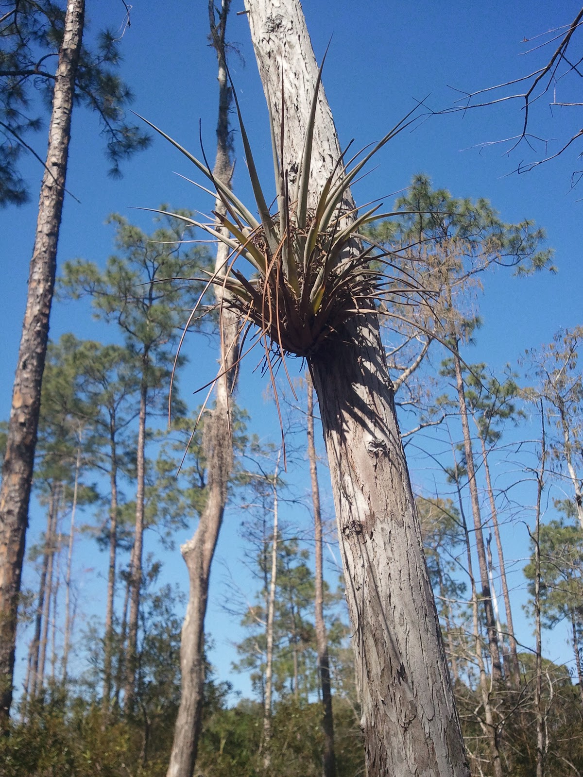 Gang Green�s Colloquium Blog Our Second Field Trip The