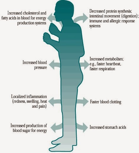 Stress counseling clinic chennai, tamil nadu Dr Senthil Kumar D