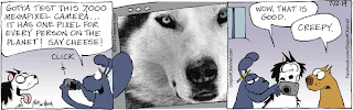dog takes picture with phone