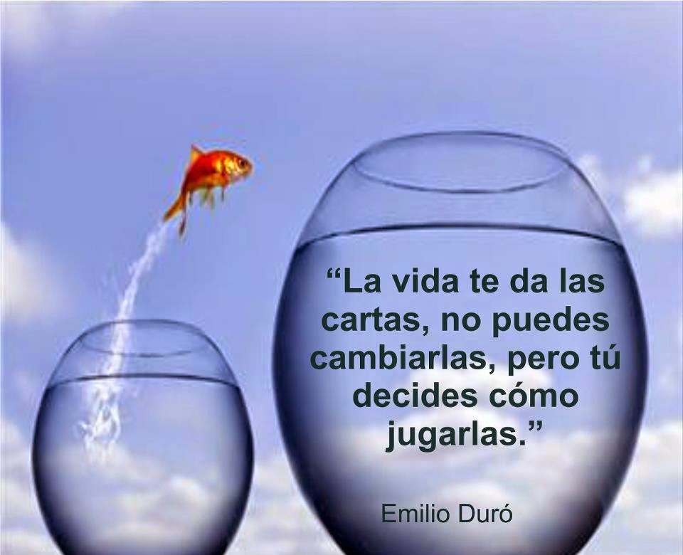 Resultado de imagen para IRMELENA