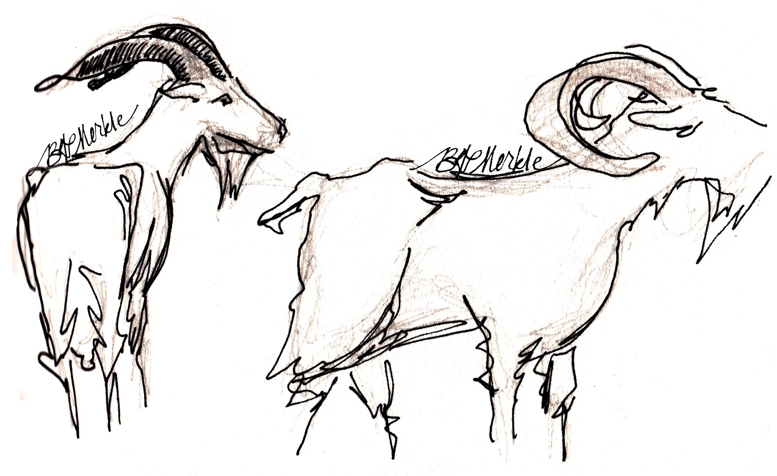 this weeks column divulges all the behind the scenes info i gleaned from the matre chevrier goat master during a visit to batisses bucolic home in the