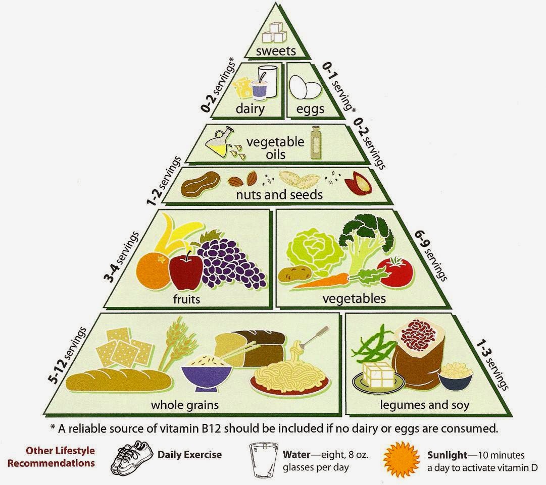 food pyramid lesson food pyramid lesson