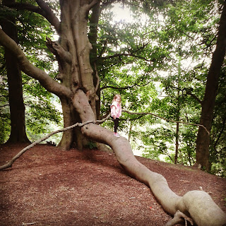tree climbin