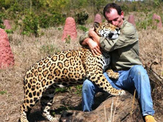 When Humans and Animals Get Along