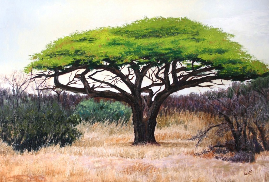 Imágenes Arte Pinturas PAISAJES AFRICANOS OLEO