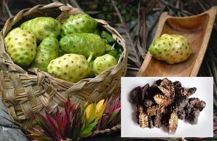 thu%2Bhoach%2Bva%2Bche%2Bbien%2Btrai%2Bnhau.jpg thu%2Bhoach%2Bva%2Bche%2Bbien%2Btrai%2Bnhau.jpg