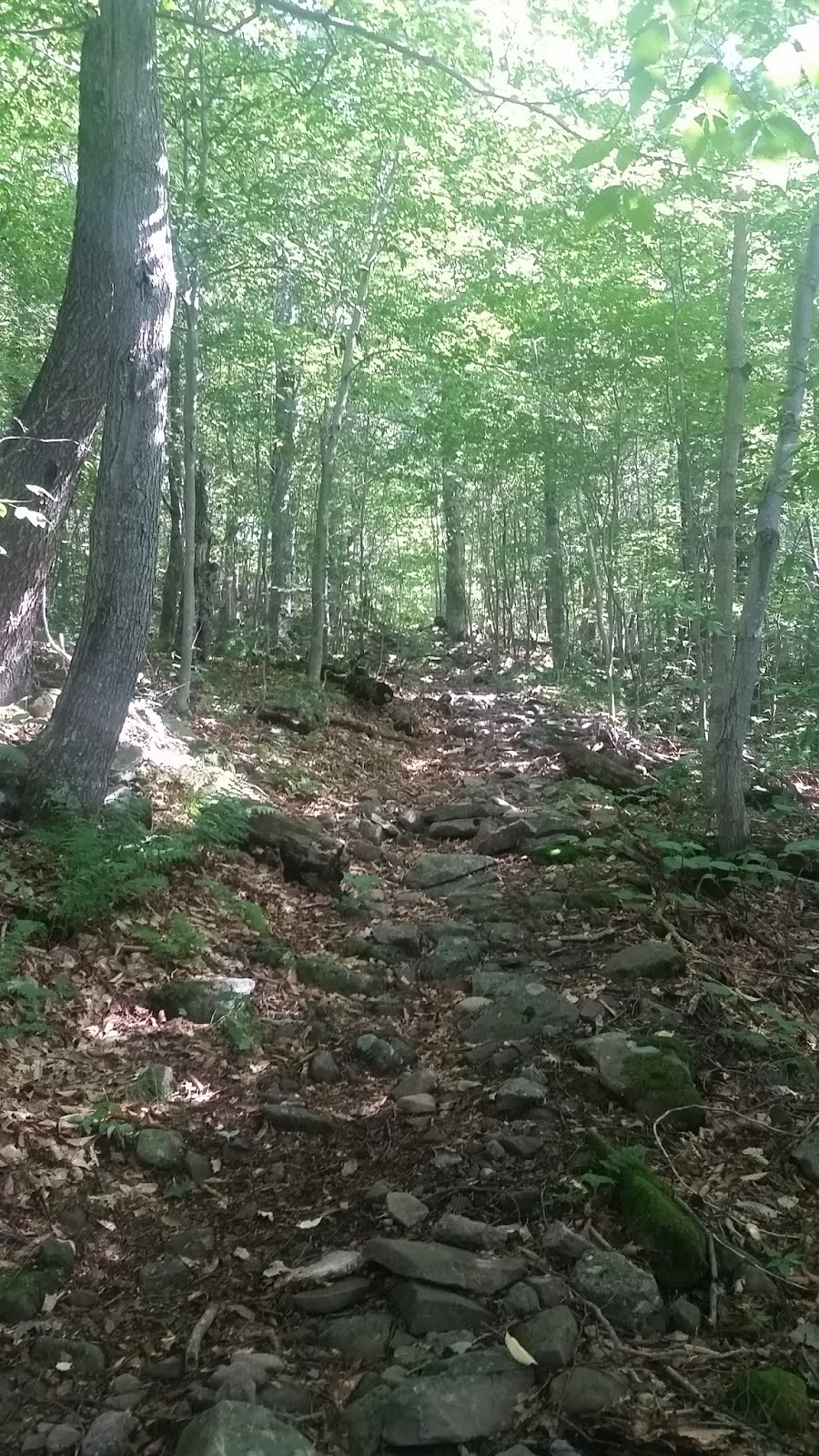 Seager Trailhead: Eagle and Big Indian