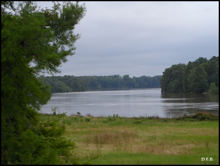 Roots From The Bayou The Jonesville Lock & Dam