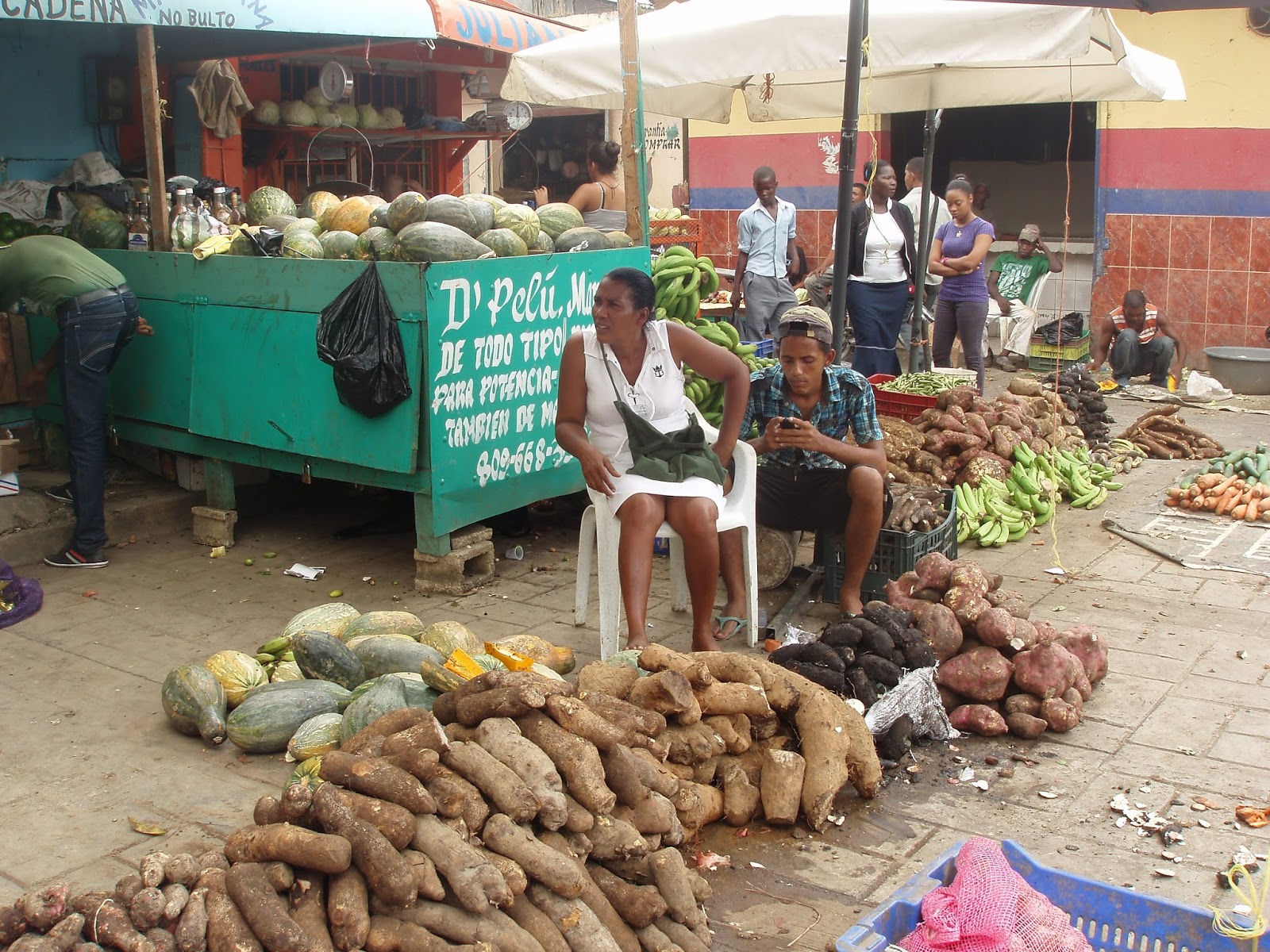 2013 Virginia 4H Dominican Republic Program