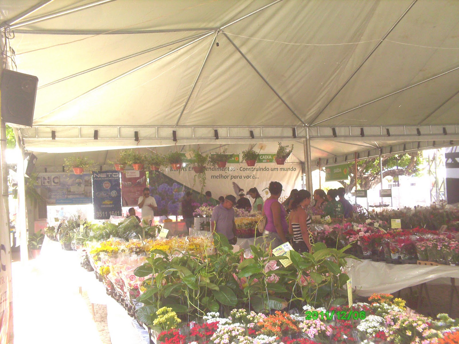 Expoflora 2015