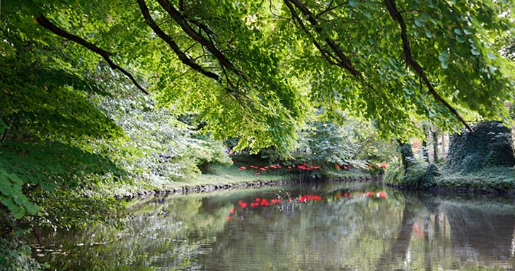 Gartenblog Geniesser-Garten : Gartenlust