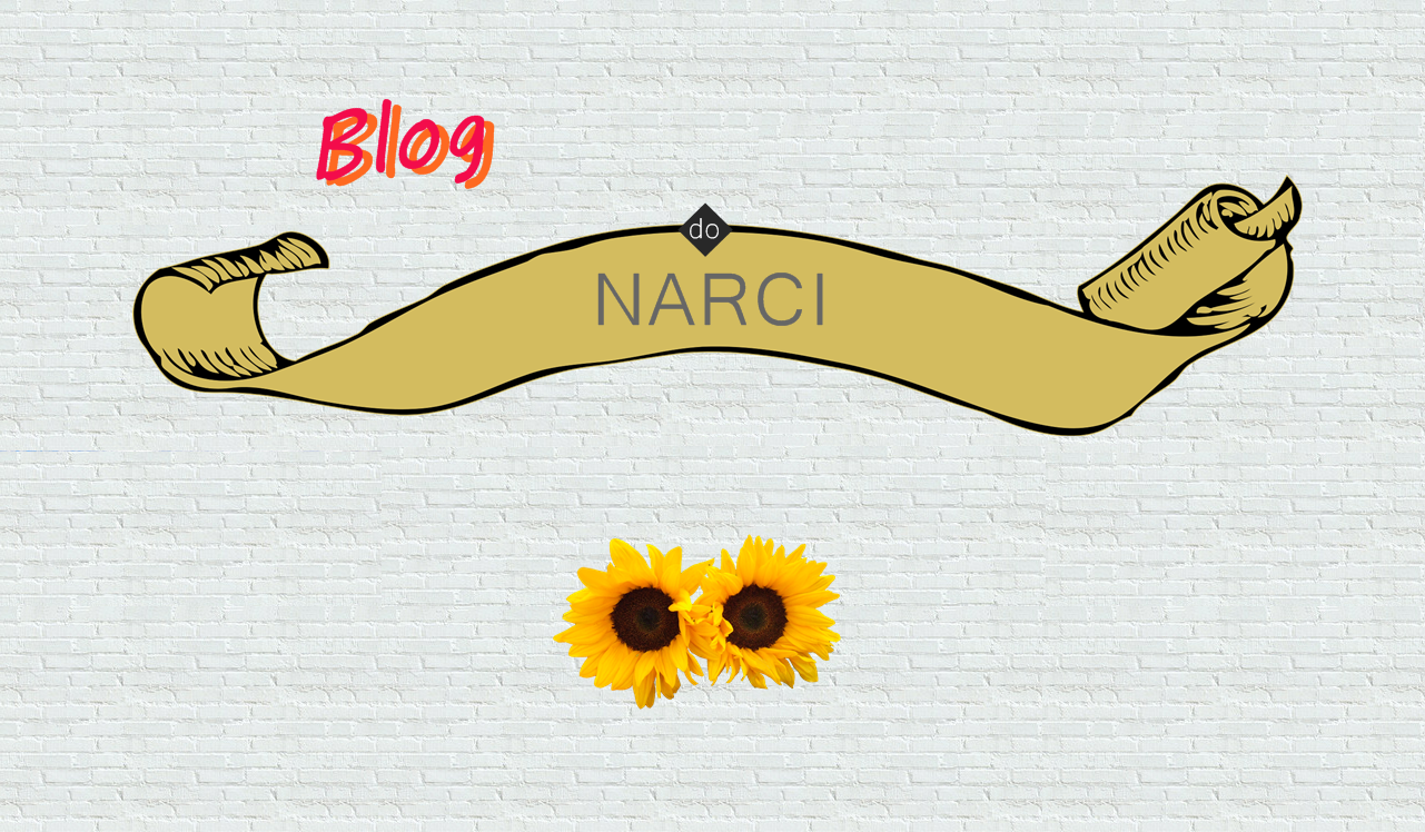 NarcisoFiguerêdo Blog