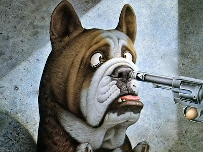 Funny DOG Pictures