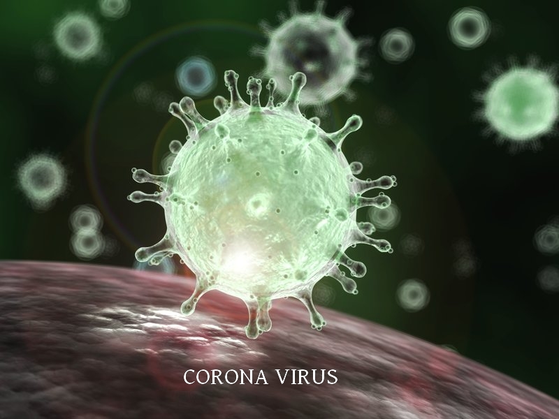 HOW WHAT WHEN WHERE ABOUT CORONA VIRUS
