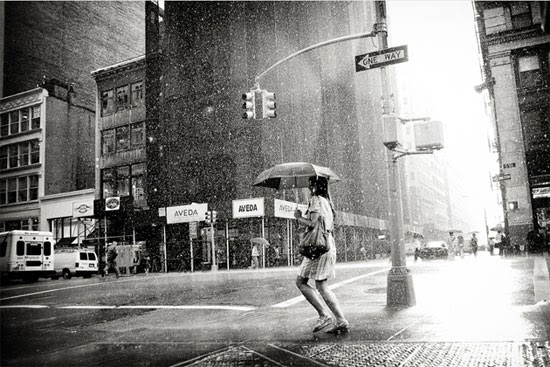 Rain on 5th Avenue Rain on 5th Avenue