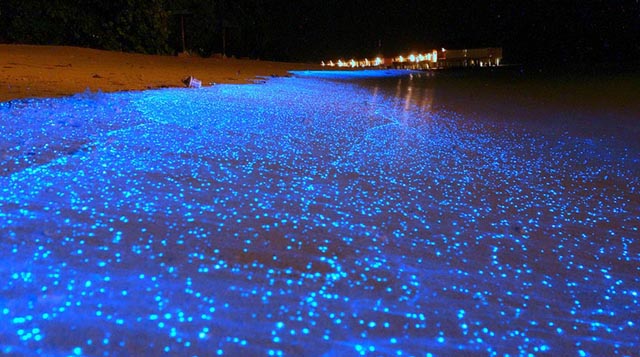 Playa de Maldivas se ve igual a un cielo nocturno estrellado