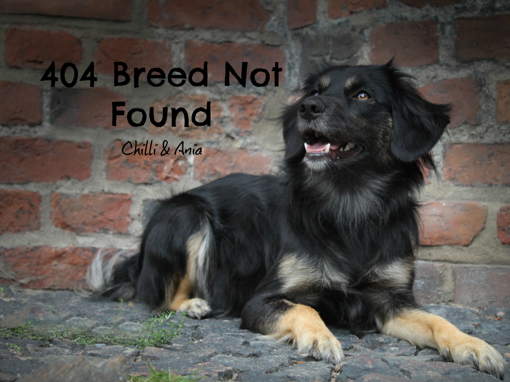 404 Breed Not Found
