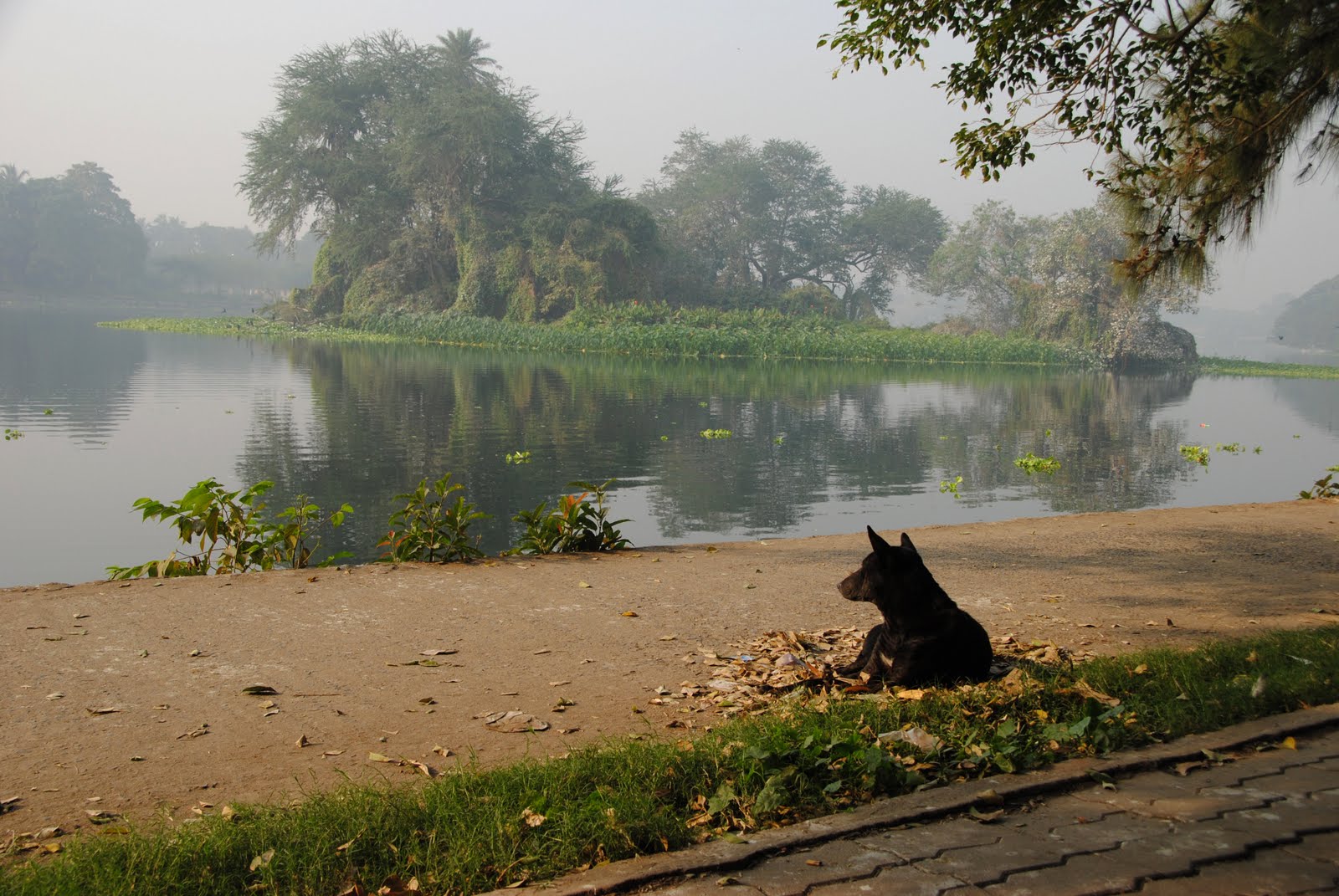Lake Kolkata