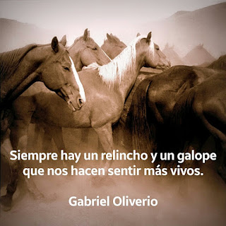 SOBRE CABALLOS: Gabriel Oliverio, el Señor de los Caballos