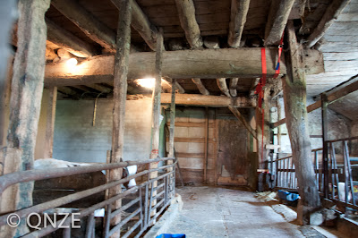 HAUSFORSCHER unterwegs: Das älteste Bauernhaus Europas aus der Mitte