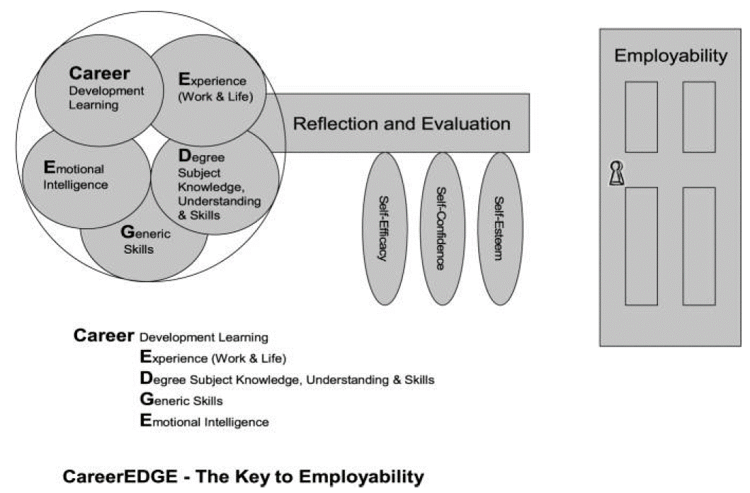 Tom's Careers In Sport Placement Blog