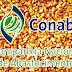 MILHO SUBSIDIADO PELO GOVERNO FEDERAL CHEGA AOS AGRICULTORES CUITEENSES COM DESCONTO SUPERIOR A 50% DO VALOR DE MERCADO