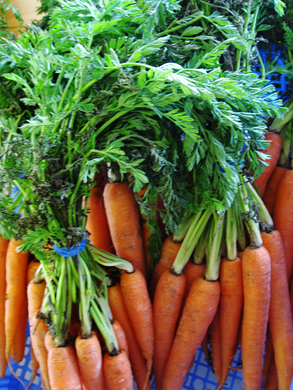 My Equestrian World Feeding in Winter