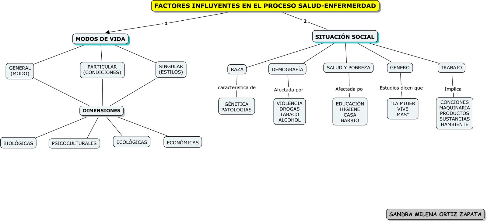 EL PROCESO SALUD Y ENFERMEDAD el proceso salud y enfermedad: