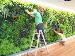 jardines verticales blogger