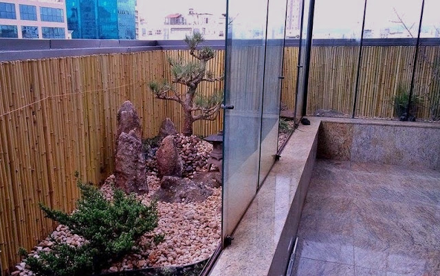plantas jardim japones:jardim japones pinheiro negro kuromatsu plantas jardim japones:jardim japones pinheiro negro kuromatsu
