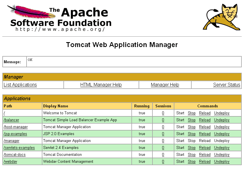 TOMCAT 7 MANAGER ACCESS PHOTO