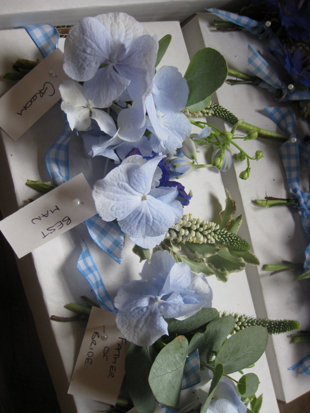 Laura Coleman Flowers Daisies in December, well, August actually