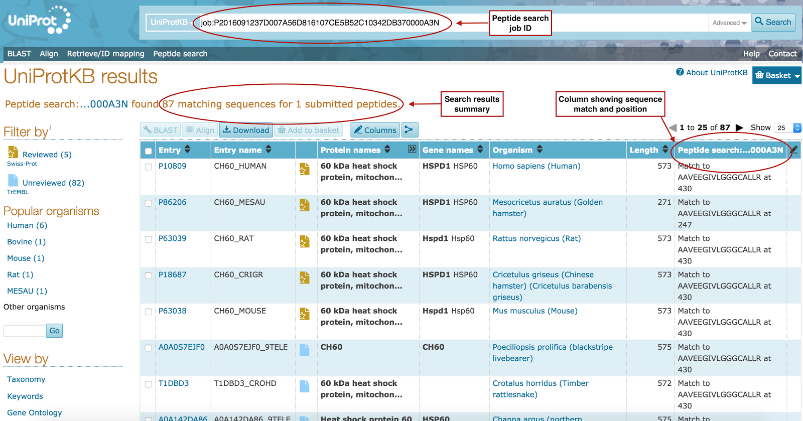 Inside UniProt A new Peptide Search tool now in UniProt