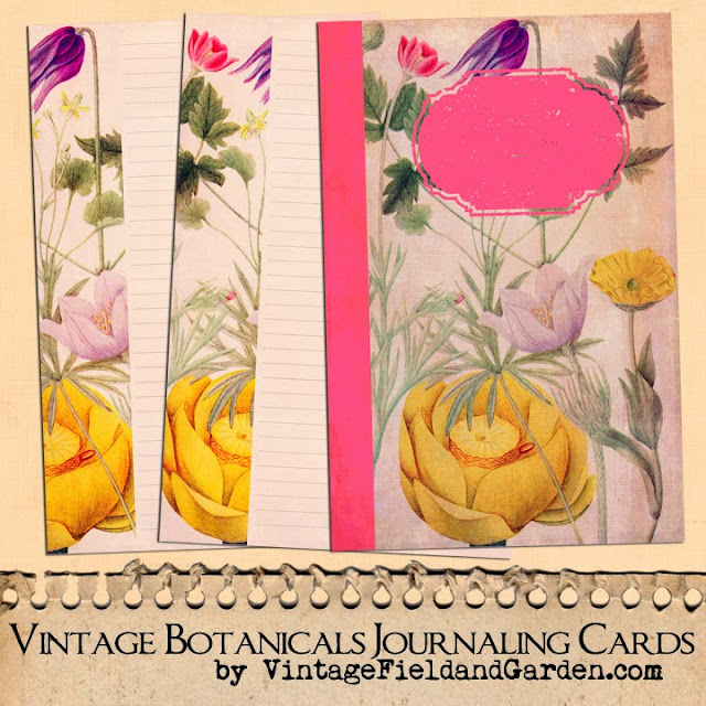http://4.bp.blogspot.com/-7c9krwrlgq0/U1kZuY5y8II/AAAAAAAAIsE/Ayb8OZqyMQo/s640/Vintage+Botanicals+Nature+Journal+Cards+Set+2+Preview.jpg