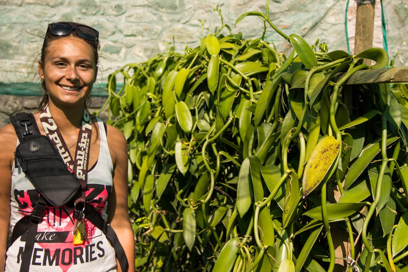 La Réunion V.D. La vanilleraie Sainte Suzanne