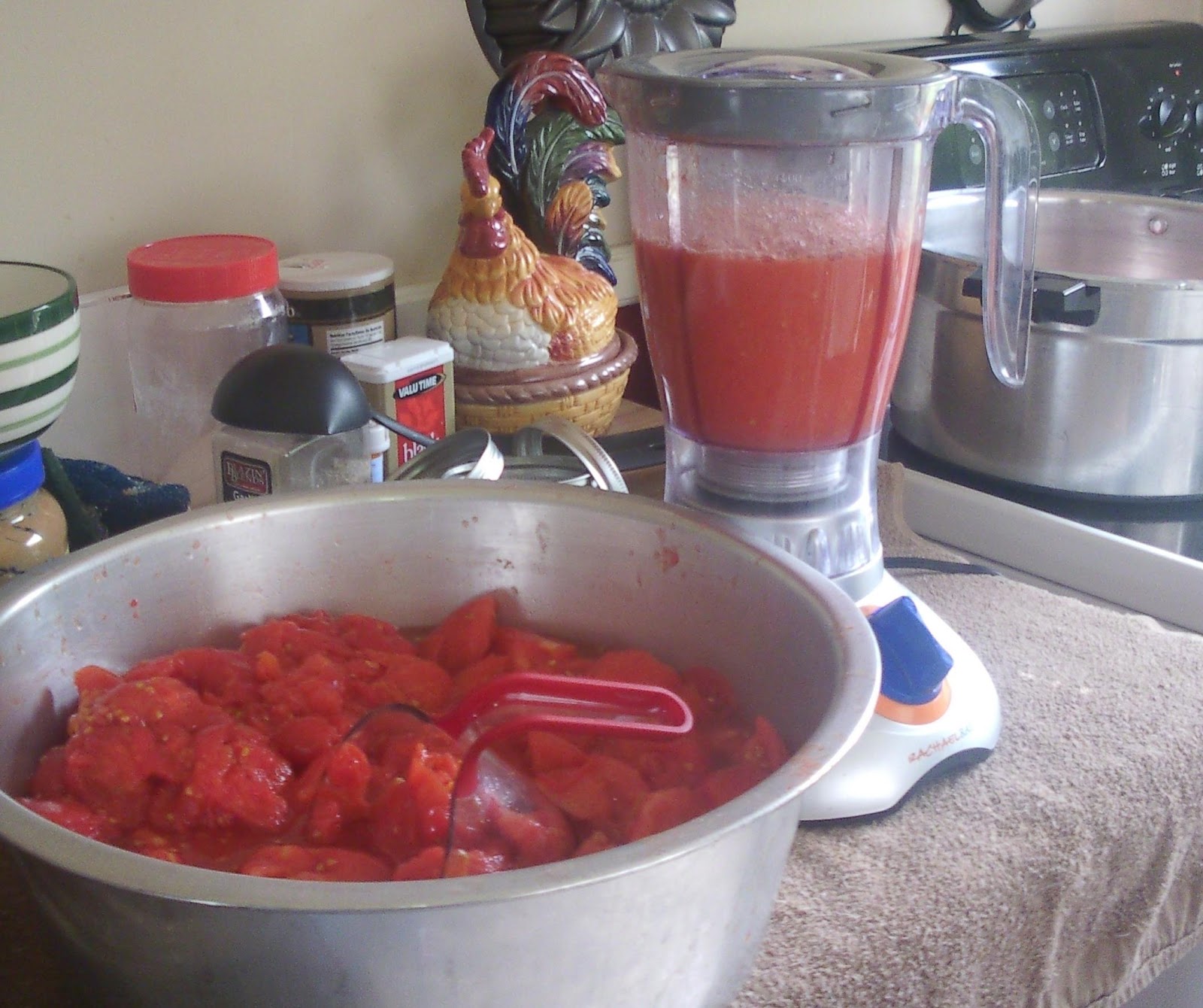 Shawkl Designs Canning Tomatoes 101