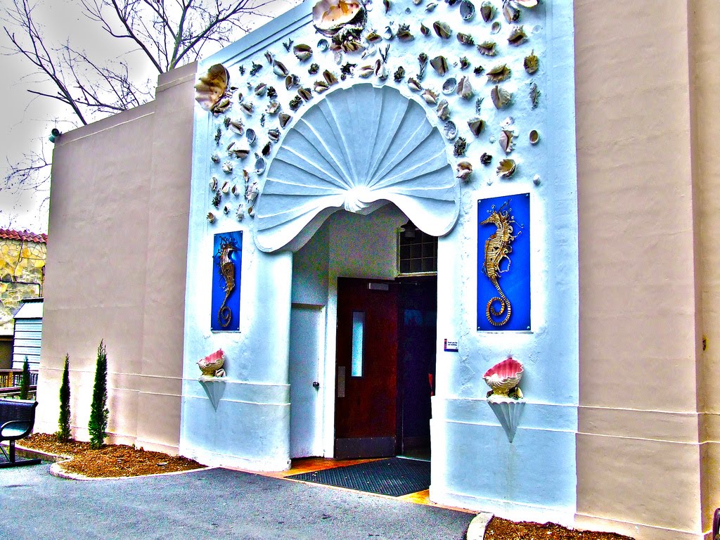 The Circus "NO SPIN ZONE" San Antonio Zoo Aquarium