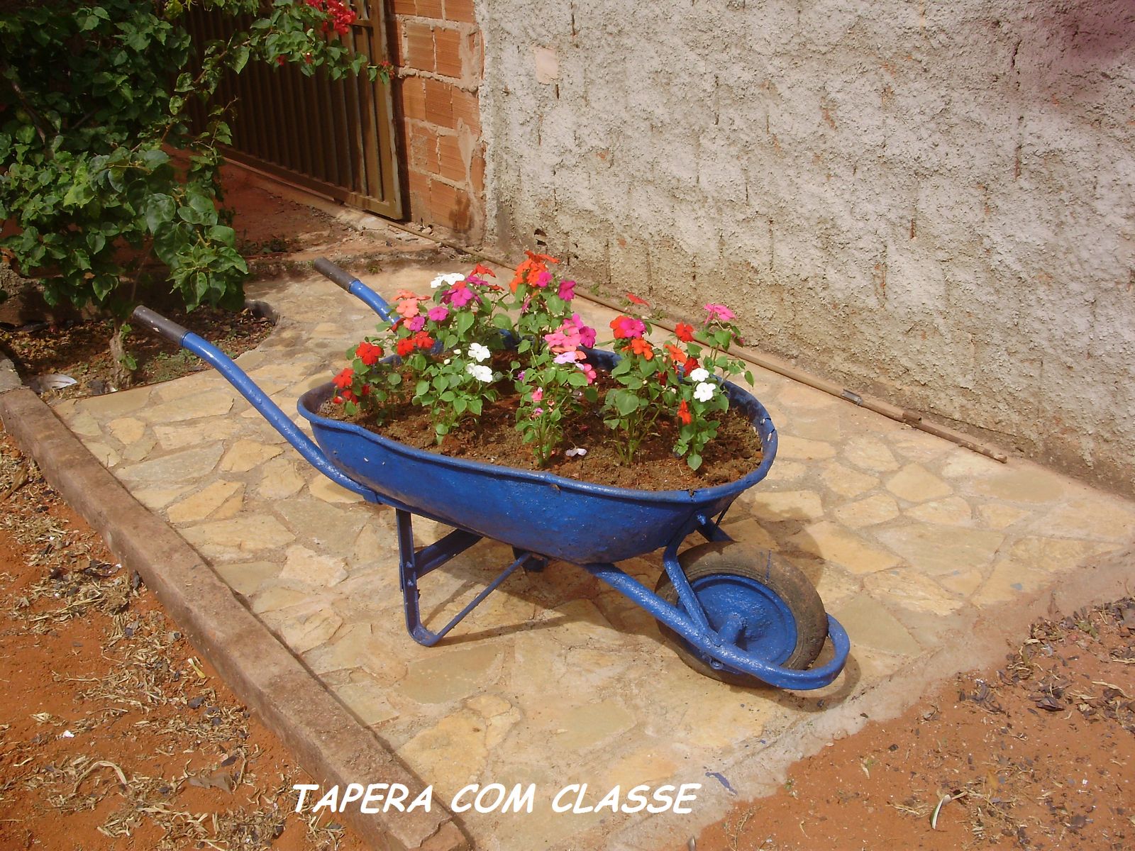 flores jardim ano todo:Amei o resultado!! e vocês, o que acharam? flores jardim ano todo:Amei o resultado!! e vocês, o que acharam?