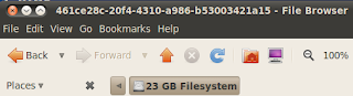 Linux partition drive name or number on opened window title bar