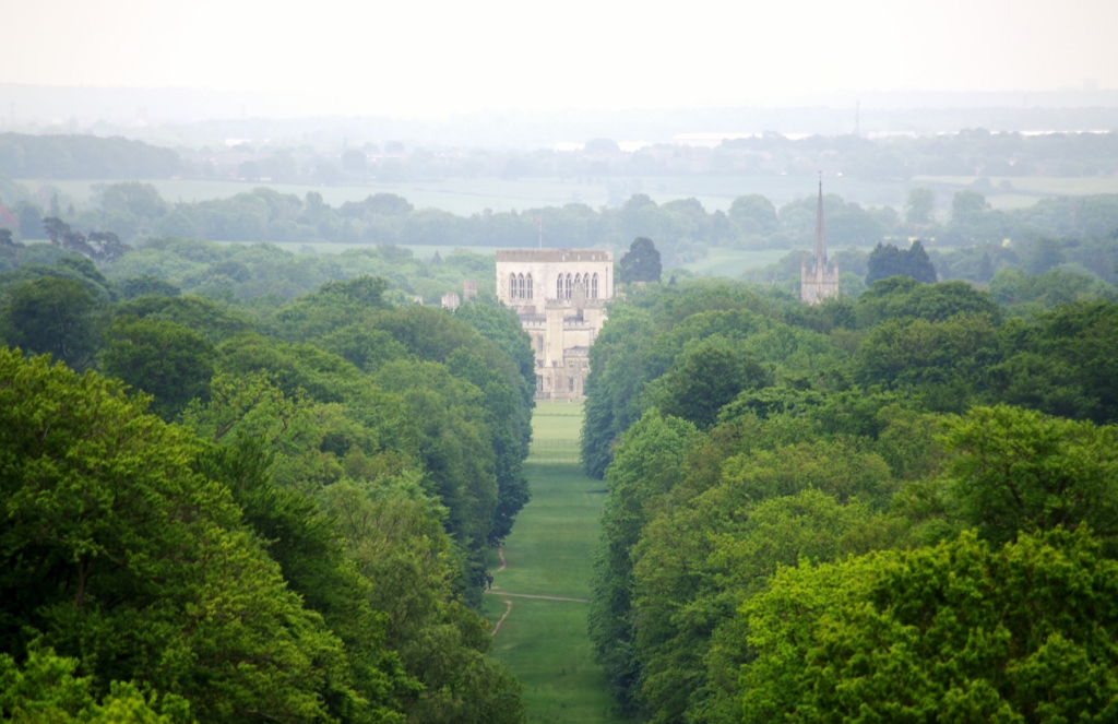 Ashridge essay 04 picture