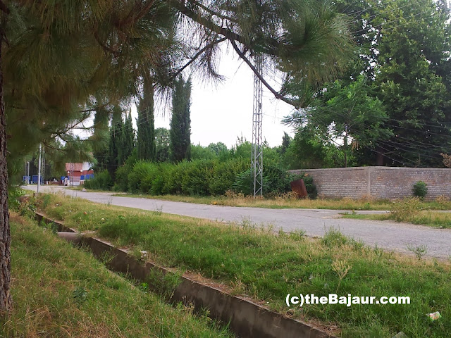 bajaur bajaur