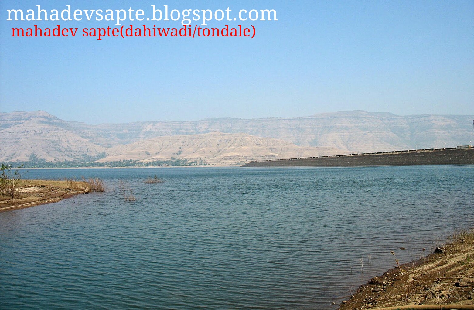 Kas Pathar Satara कास पठार Kaas Plateau (Valley of Flowers) Photos