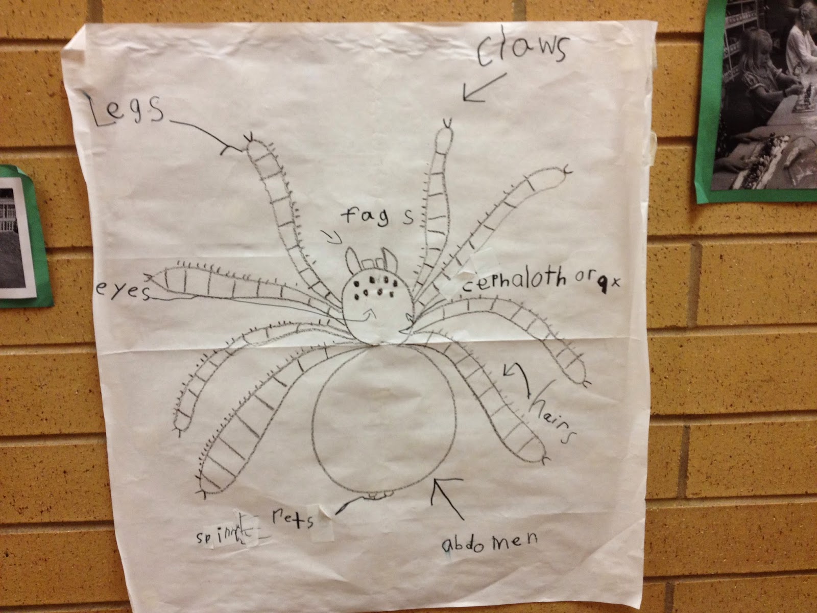 Interactive writing with spiders - You can also add captions.