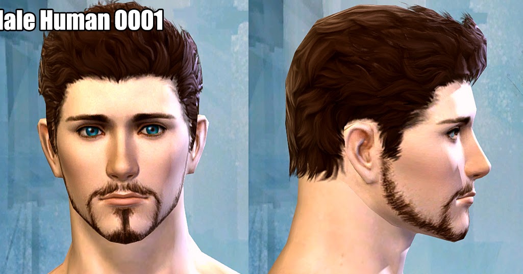 Guild Wars 2 Fan Site Free Male Human Settings 0001