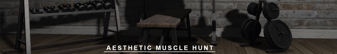 Aesthetic Muscle Hunt