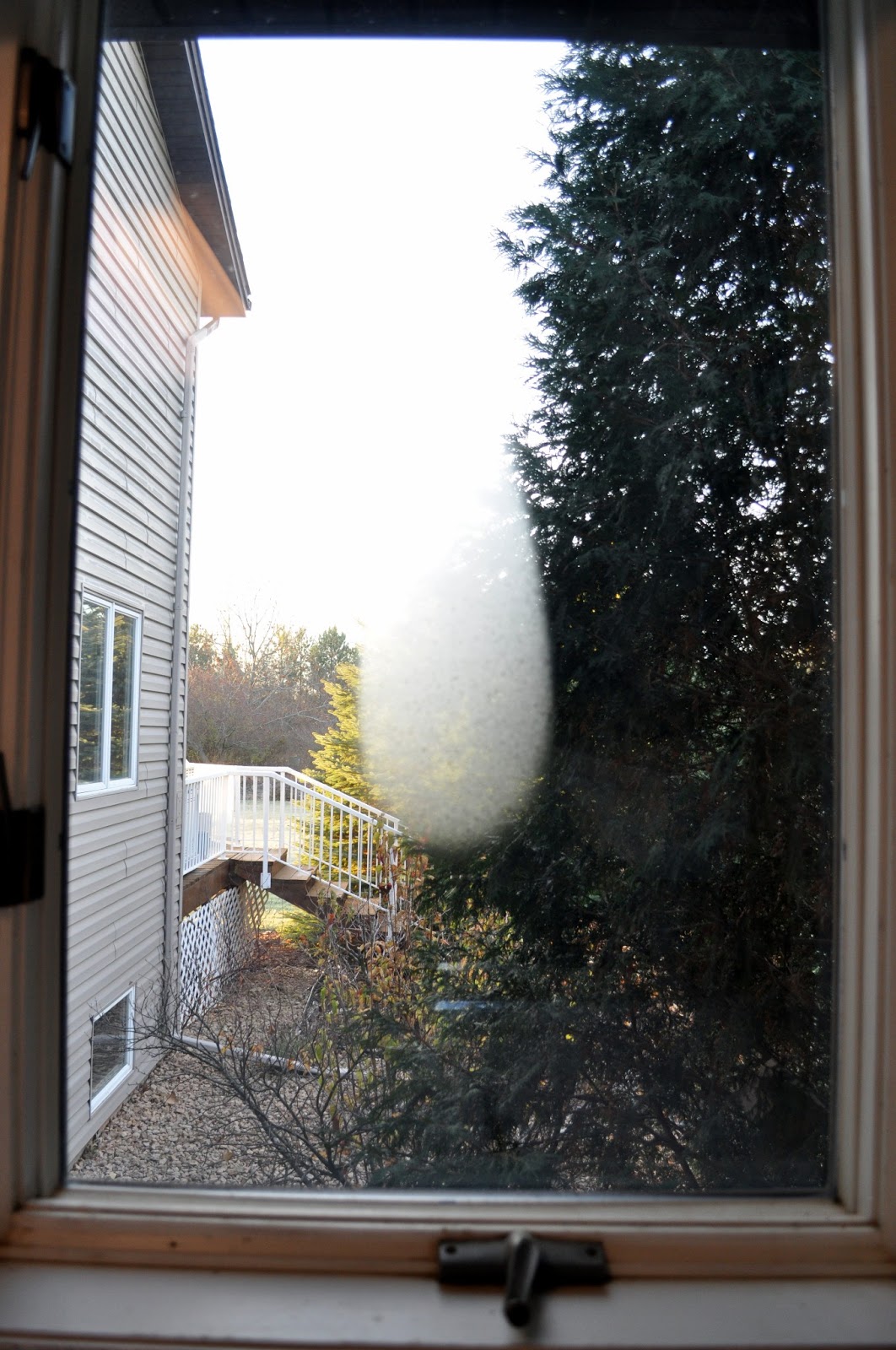 Lite Revelations Window Moisture