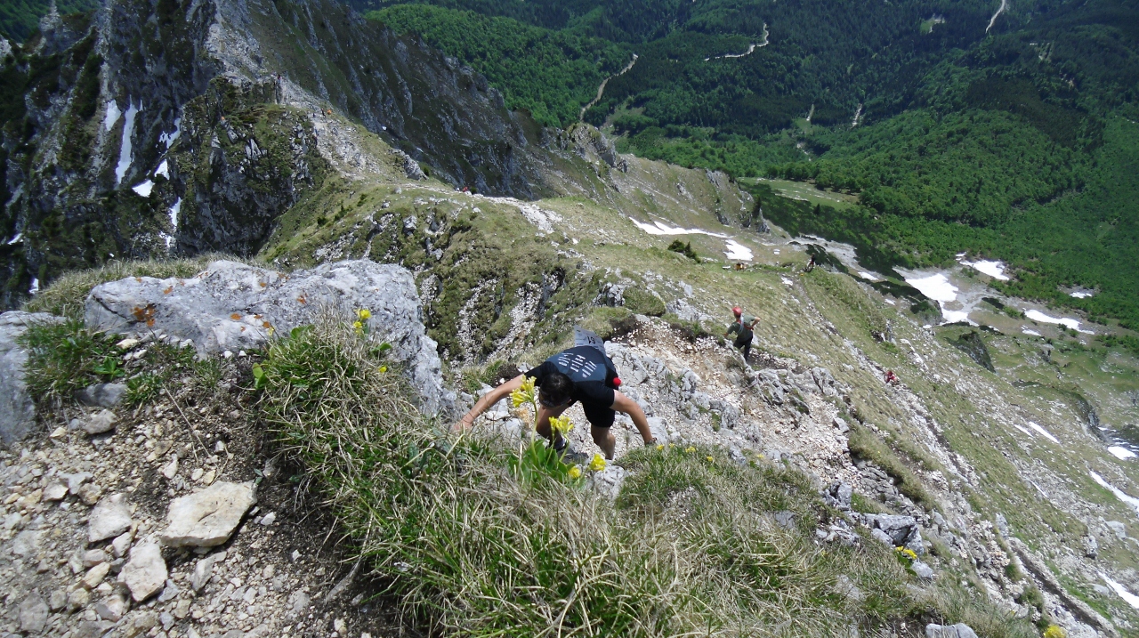 Nature Sport Reports