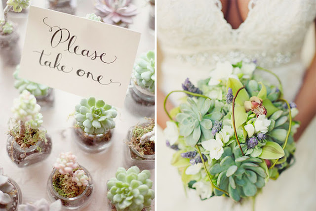 succulent plants wedding favors