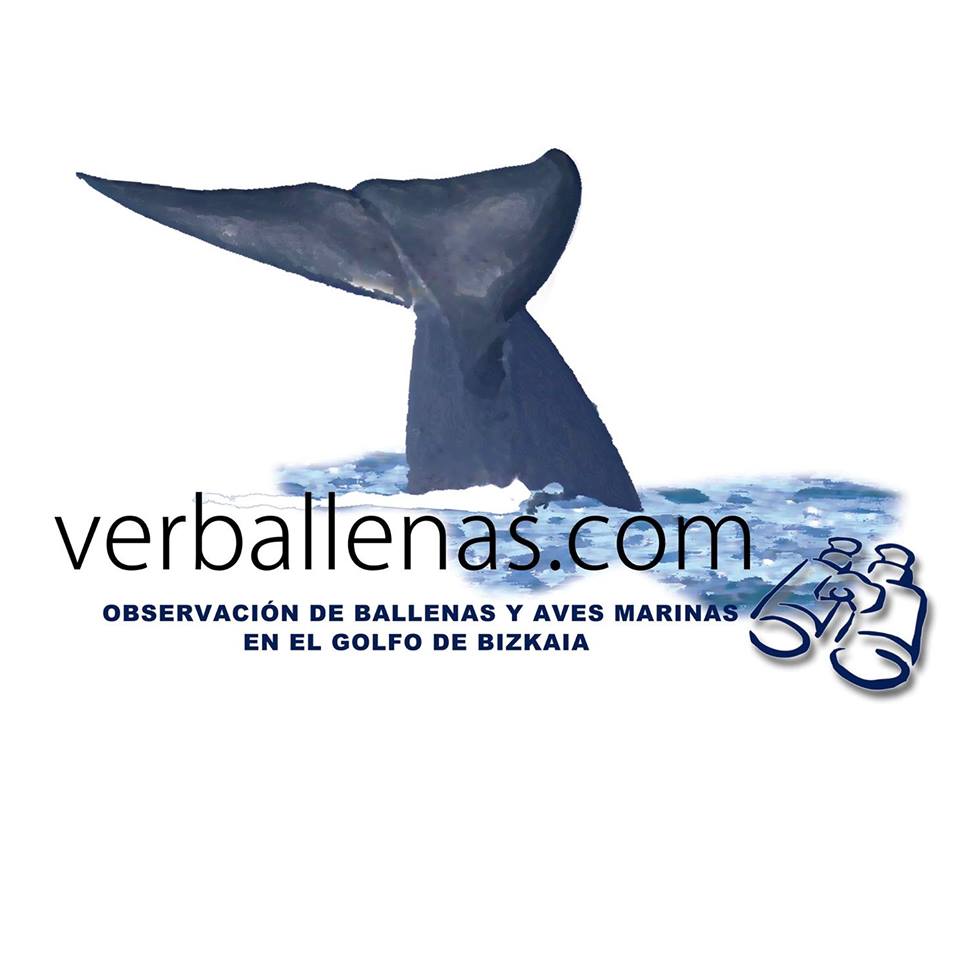 VERBALLENAS.COM